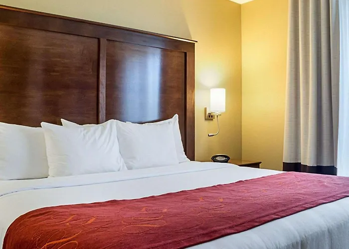Comfort Medical Center Hotel 4*