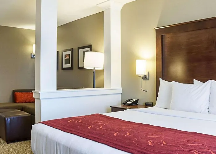 Comfort Medical Center Hotel 4*